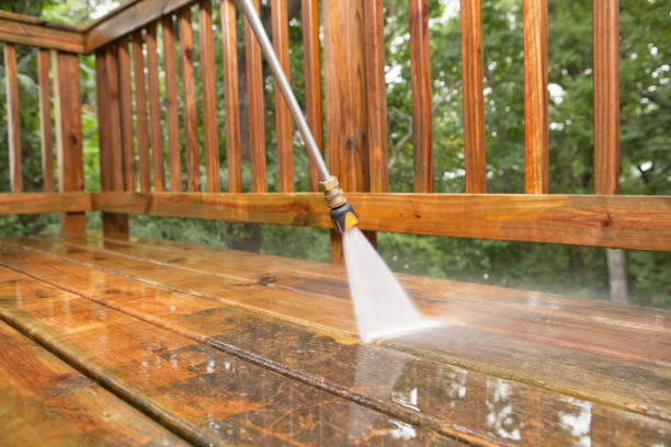 Best Roof Pressure Washing  in Walnutport, PA