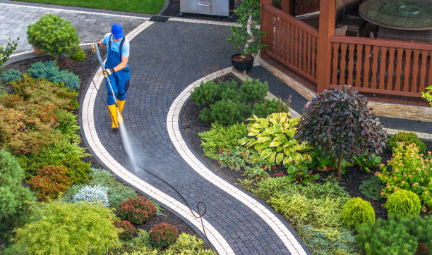 Best Roof Pressure Washing  in Walnutport, PA